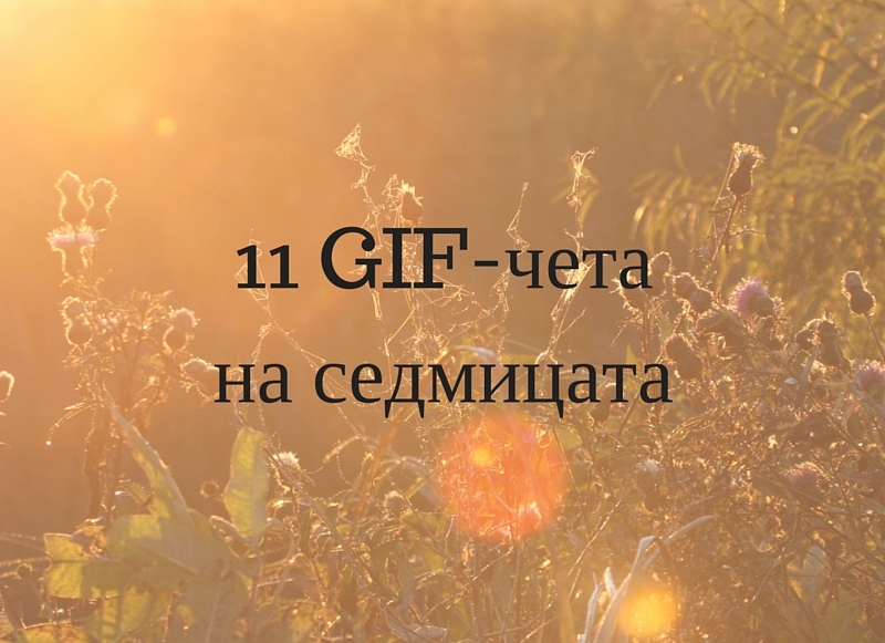 GIF-чета на седмицата