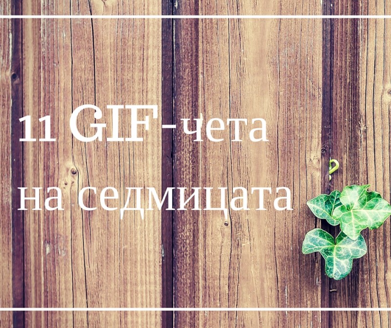 GIF-чета на седмицата