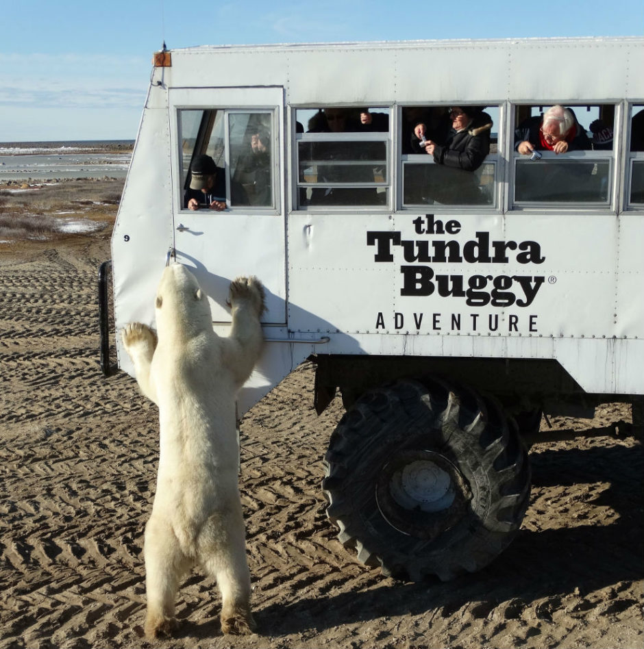 „Мисли & анекдоти“ на Уинстън Чърчил